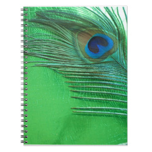 Carnet De paon de plume toujours la vie verte et blanche