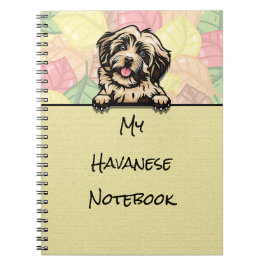 Carnet de Peeking Cute Havanese