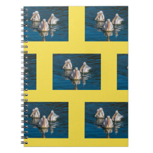 Carnet de pélicans