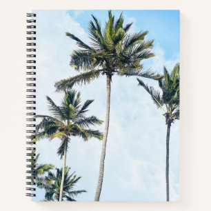 Carnet de photographie de palmier tropical côtier