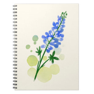 Carnet de photos en spirale