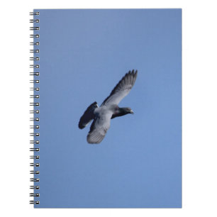 Carnet de pigeon d'emballage en vol
