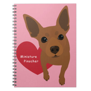 Carnet de Pinscher miniature