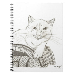 Carnet de portrait de Cat Ragdoll