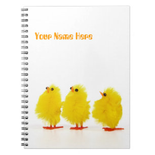 Carnet de poussins de bébé de Pâques