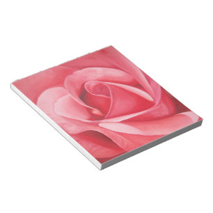 Carnet de rose de rose
