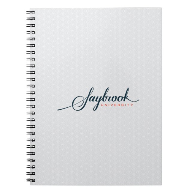 Carnet de Saybrook (Devant)