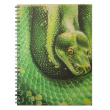 Carnet de serpent