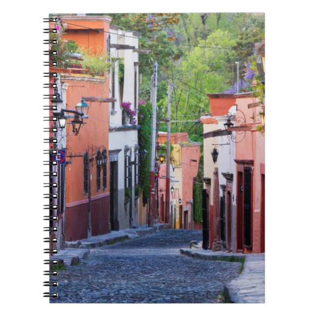 Carnet De Sollano Street, San Miguel De Allende (Devant)