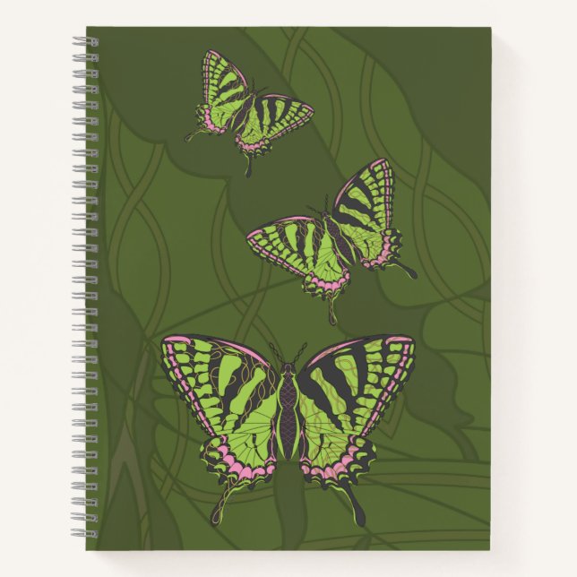 Carnet de spirale céleste (Devant)