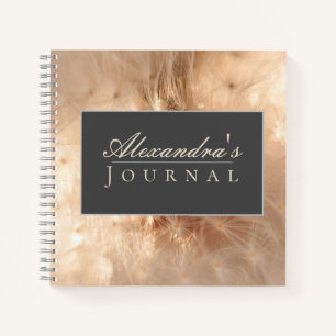 Carnet de spirale couleur vive