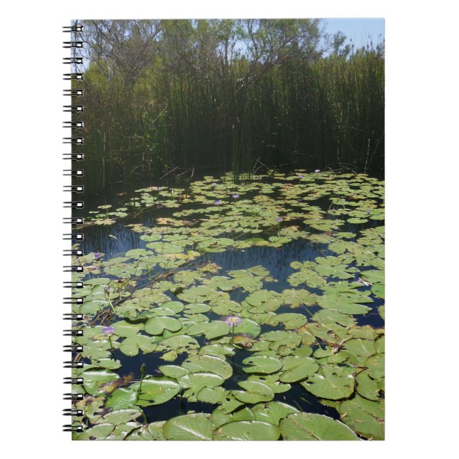 Carnet de spirale des coussinets d'arrière (Devant)