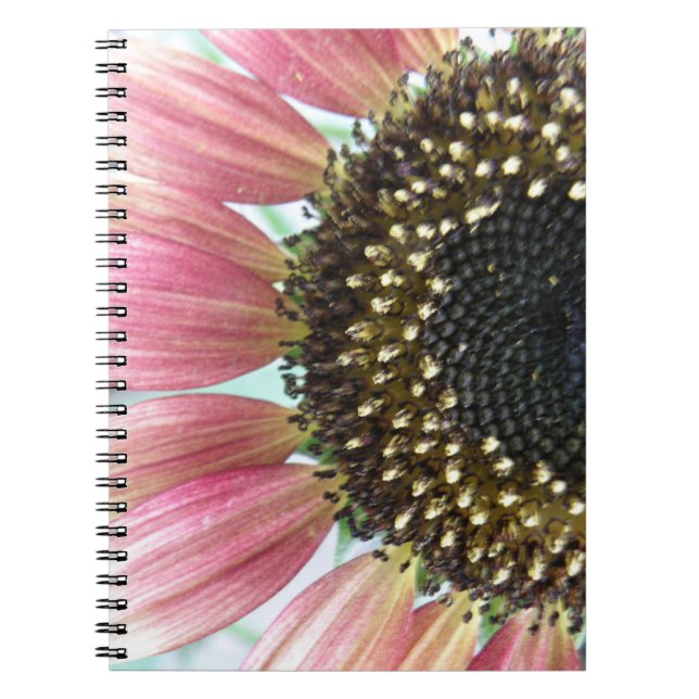 Carnet de tournesol rose (Devant)