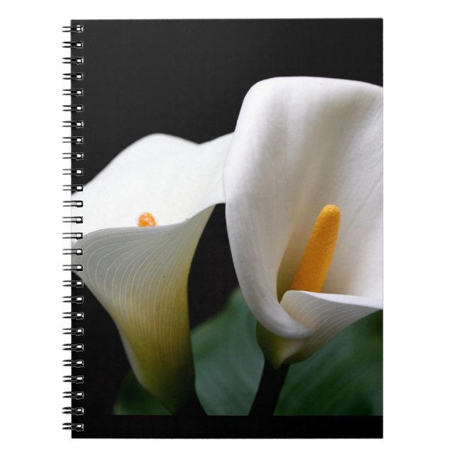 Carnet de zantedeschia (Devant)