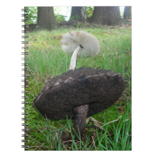 Carnet d'ébène et de champignons d'ivoire