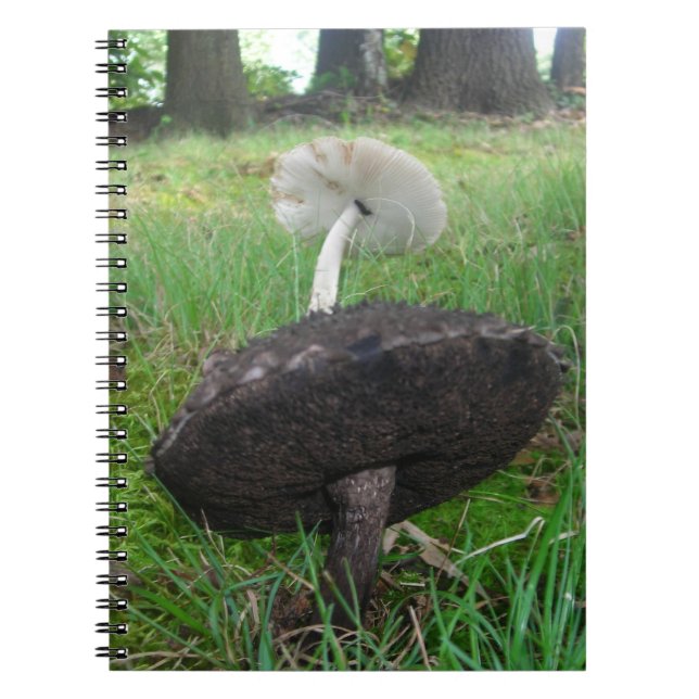 Carnet d'ébène et de champignons d'ivoire (Devant)