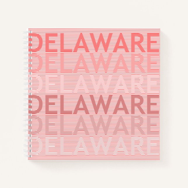 Carnet Delaware (Devant)