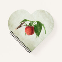 Délicieuse pêche dans une branche