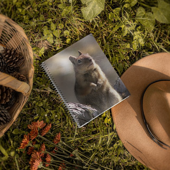 Carnet Demander l'écureuil terrestre Nature Photo (In Situ)