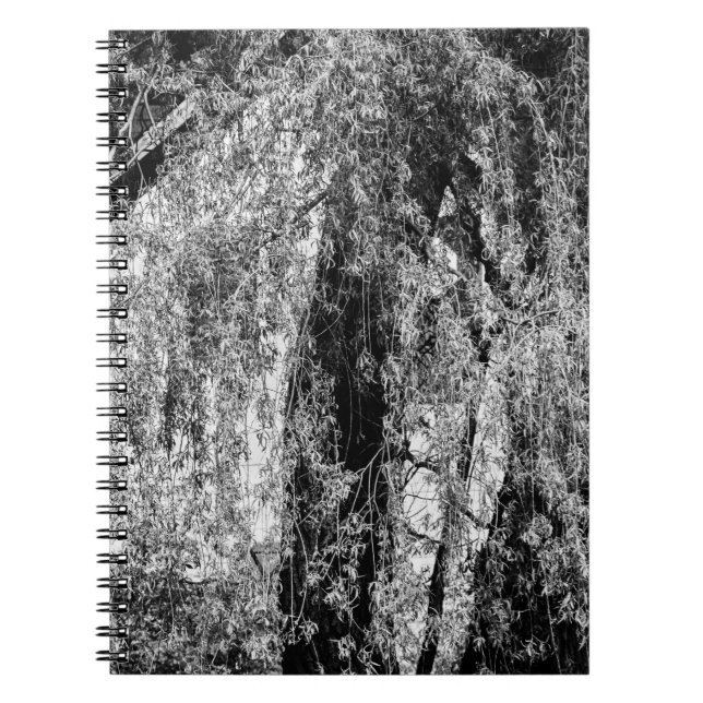 Carnet demeure (Devant)