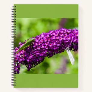 carnet d'énergie de sauterelle verte