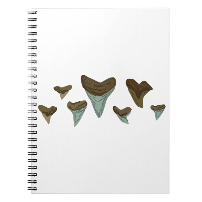 Carnet Dents de requins fossiles (Devant)