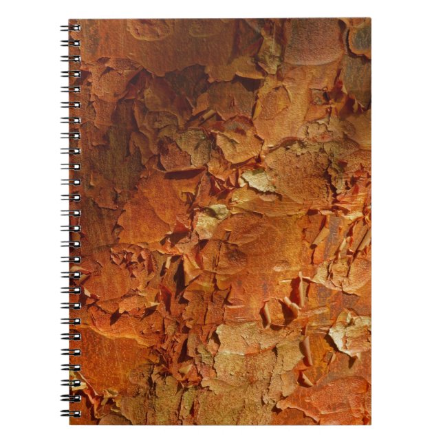 Carnet d'érable de Paperbark (Devant)