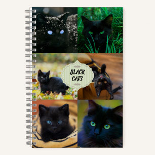 Carnet des chats noirs