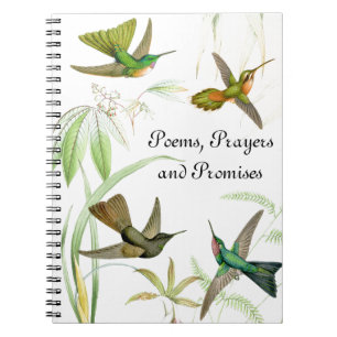 Carnet des colibris de Goulds