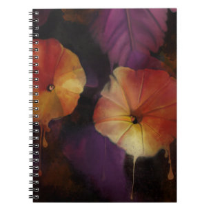 Carnet des fleurs de gloire du matin