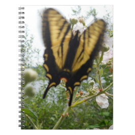 Carnet des vols d'été