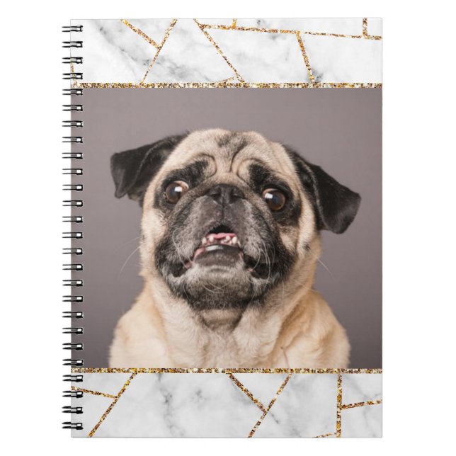 Carnet Design d'intérieur Accueil Chien Parties scintilla (Devant)