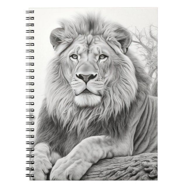 Carnet Dessin au crayon Lion africain (Devant)