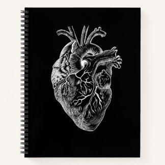 Carnet Dessin cardiaque anatomique
