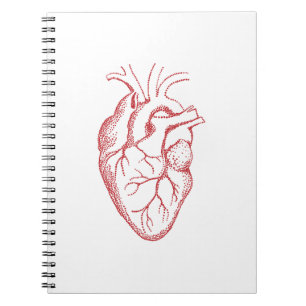 Carnet Dessin d'anatomie cardiaque humaine