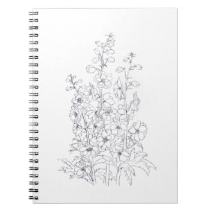 Carnet dessin de fleur de larkspur de delphinium
