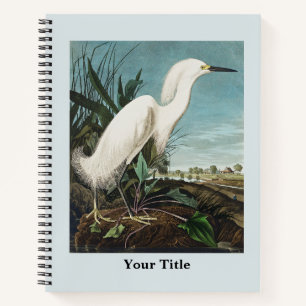 Carnet Dessin historique de la faune de la grue Audubon