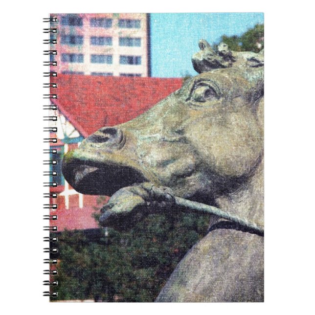Carnet Détail du Cheval de Fontaine Plaza (Devant)