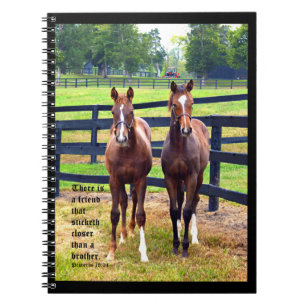 Carnet Deux amis avec Proverbes 18:24