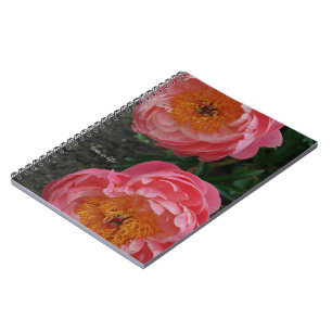 Carnet Deux Belles Peonies Roses