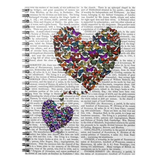 Carnet Deux Coeurs papillons (Devant)