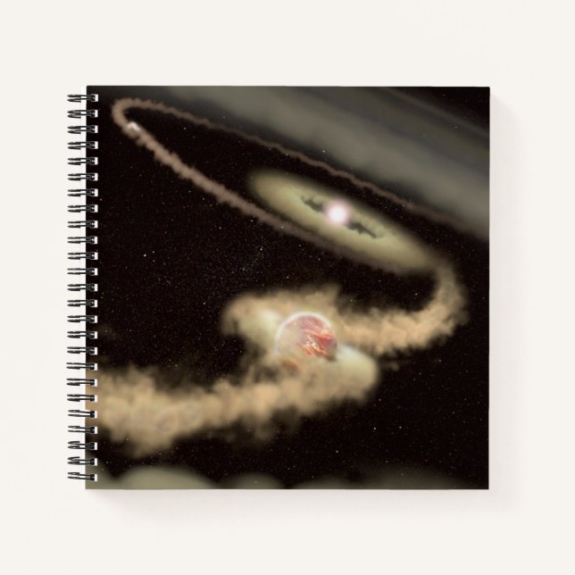 Carnet Deux Exoplanètes Géantes De Gaz Orbitant Une Jeune (Devant)