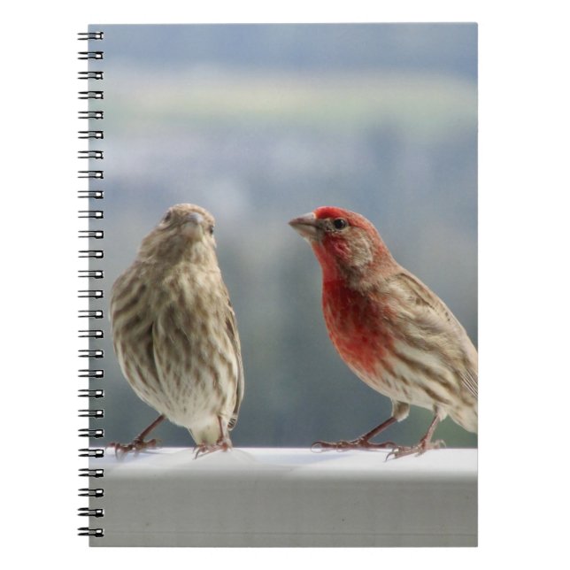 Carnet Deux Finches Flirtent. (Devant)
