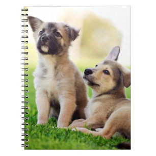 Carnet Deux German Shepherd