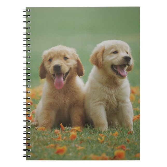 Carnet Deux Marionnettes de l'unité de triage du Labrador (Devant)