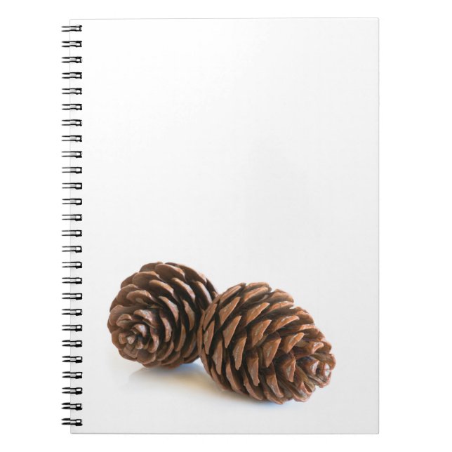 Carnet Deux pinecones (Devant)