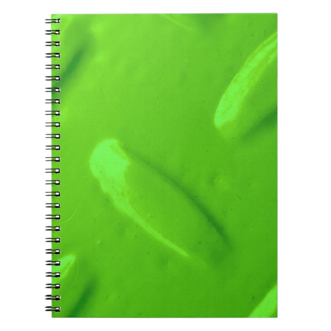 Carnet Diamondplate verte (Devant)