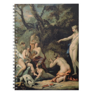 Carnet Diana et Callisto
