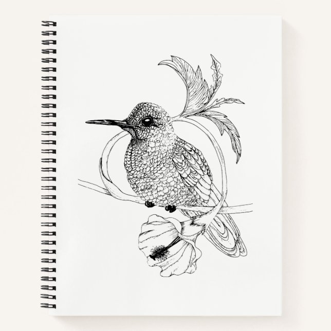 Carnet d'illustration d'oiseaux de Colibri (Devant)