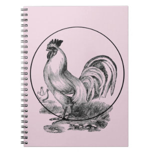 Carnet d'illustrations vintage